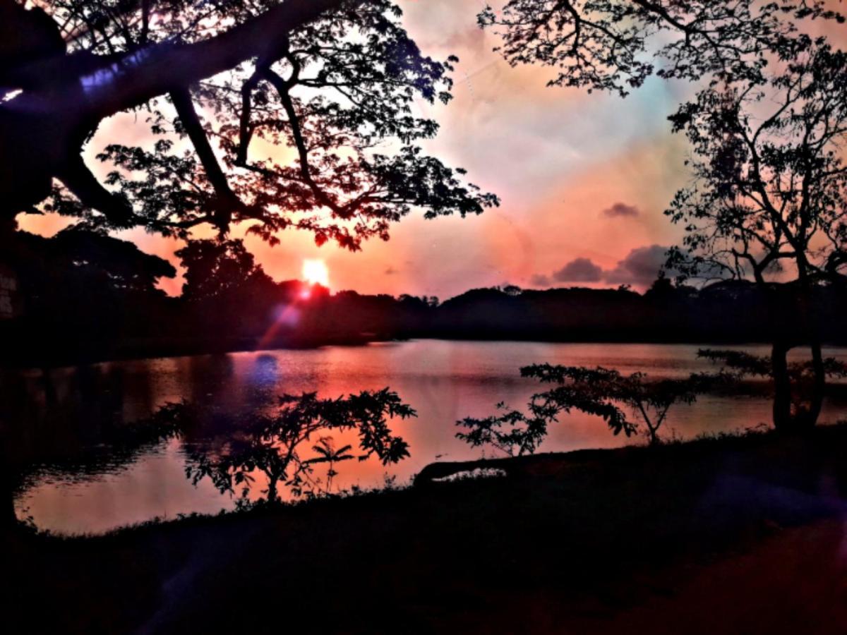 Lake View Dambulla Extérieur photo