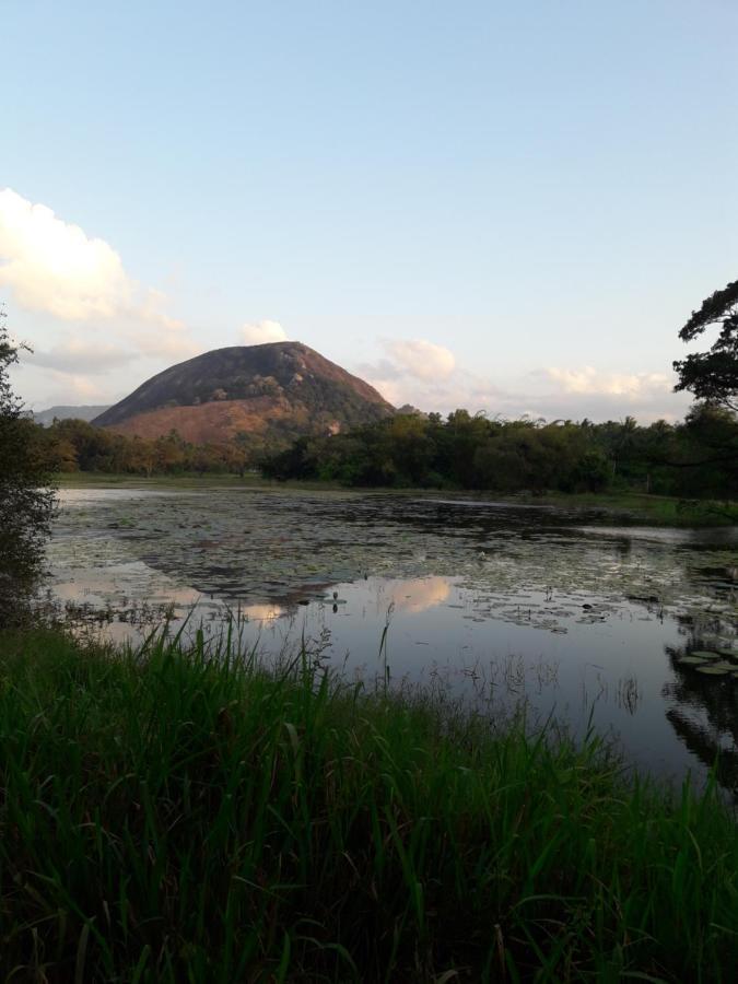 Lake View Dambulla Extérieur photo