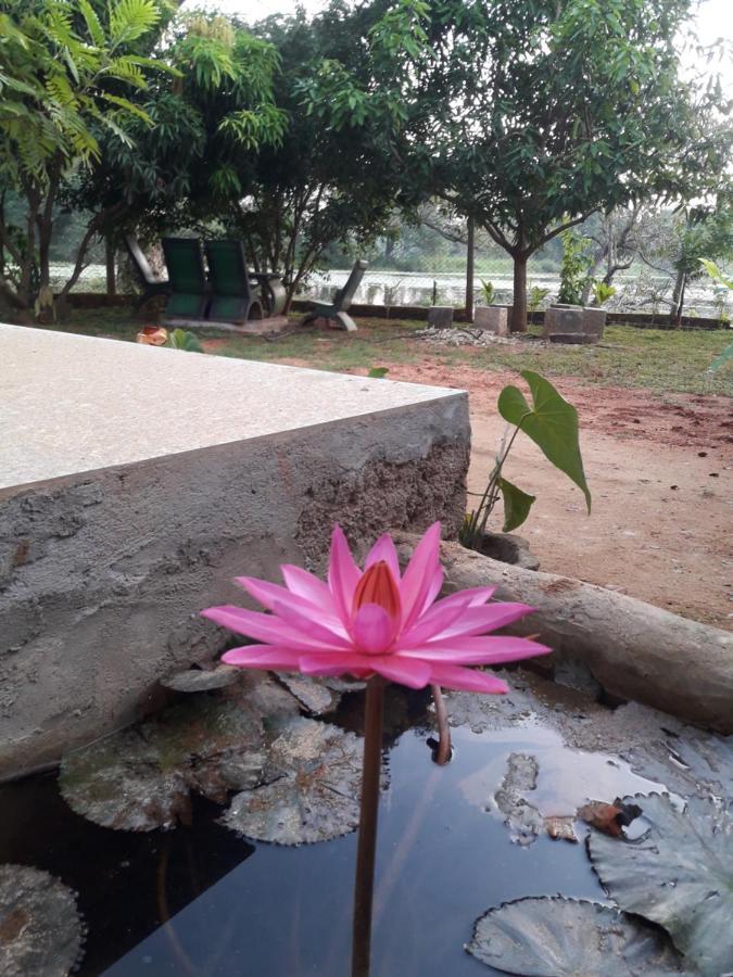 Lake View Dambulla Extérieur photo